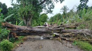 Demi Kenyamanan Pelanggan, Petugas PLN SBD Harus Berjibaku di Tengah Cuaca Ekstrim