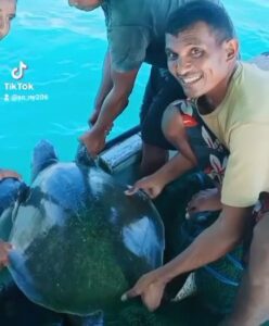 Sony Roka Hawolung, Sosok Nelayan Wanokaka yang Konsisten Lestarikan Ekosistem Laut