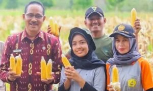 Bupati Paulus Kira, Sosok di Balik Kilau Pamor Sumba Tengah yang Kini Jadi Magnet Baru Bumi Marapu (Bagian II)