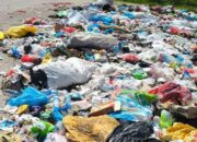 SBD Darurat Sampah dan Bau Bangkai