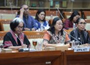 Proses Hukum Kekerasan Seksual Mantan Kapolres Ngada Mandek, APPA NTT RDPU Bersama Komisi III