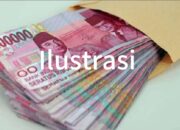 Rekaman Pembicaraan Pemilik Ternak Mengaku Beri Angpao untuk Tiga Institusi dalam Kasus Penangkapan 21 Ekor Kerbau Selundupan Asal Bima, NTB
