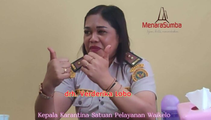 Apresiasi Dukungan Pers terhadap Pengawasan Ternak, Kepala Karantina Satuan Pelayanan Waikelo Sebut, Media Keren !