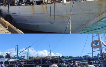 Pengiriman Kuota Tahun 2026 Dimulai, CV Hijrah Kapalkan 81 Ekor Kuda ke Jeneponto