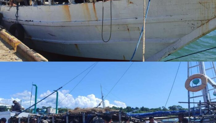 Pengiriman Kuota Tahun 2026 Dimulai, CV Hijrah Kapalkan 81 Ekor Kuda ke Jeneponto