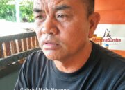 Berhentikan Koordinator P3MI PT Arny Family, Disnakertrans Kabupaten SBD Dituding Ikut Campur Urusan Rumah Tangga PJTKI