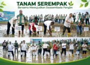 Gerakan Tanam Serempak Nasional Digelar di Tema Tana, SBD Perkuat Ketahanan Pangan