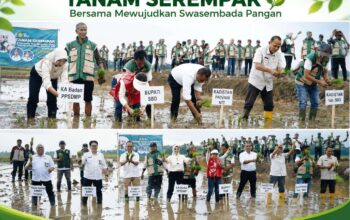 Gerakan Tanam Serempak Nasional Digelar di Tema Tana, SBD Perkuat Ketahanan Pangan