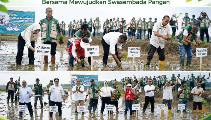Gerakan Tanam Serempak Nasional Digelar di Tema Tana, SBD Perkuat Ketahanan Pangan