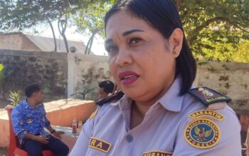 Warga Masih Trauma ASF, Karantina SatPel Waikelo Tanggapi Rencana Pemasukan Babi dari Luar Pulau