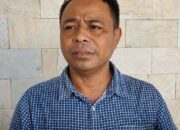 Peternak Babi SBD Khawatir ASF Kembali Mewabah, Soroti Keputusan Pemda Datangkan Babi dari Luar Pulau