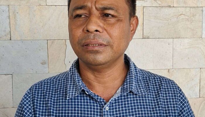 Peternak Babi SBD Khawatir ASF Kembali Mewabah, Soroti Keputusan Pemda Datangkan Babi dari Luar Pulau