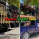 Satpol PP Sumba Timur Cegah Babi Berizin Sumba Timur Dibawa ke SBD