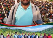 Gereja KINGMI Papua Surati Sekjen PBB, Desak Penyelamatan OAP dari Krisis Kemanusiaan dan Kerusakan Hutan