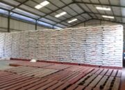Stok Beras Banpang yang Belum Disalurkan untuk KPM di Kabupaten SBD Tersisa 504 Ton