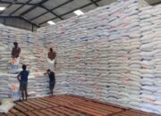 Jatah Beras untuk Bantuan Pangan di SBD Bartambah 21 Ton