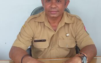 Terkendala Dukungan Fasilitas Dermaga, KM Egon Belum Bisa Buka Rute Pelayaran ke Waikelo