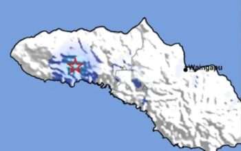 Gempa Tektonik M4,4 Guncang Sumba Barat, Getaran Dirasakan hingga Sumba Barat Daya dan Sumba Tengah