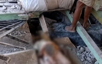 Dampak Gempa M7,7 di Flores, 38 Orang Meninggal dan 2.000 Warga Mengungsi