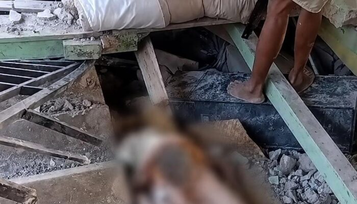 Dampak Gempa M7,7 di Flores, 38 Orang Meninggal dan 2.000 Warga Mengungsi