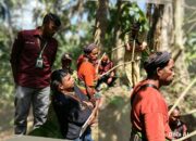 Advokat Layangkan Somasi Pertama ke Satpol PP SBD, Keberatan atas Penghalangan Saat Dampingi Klien dalam Sengketa Tanah