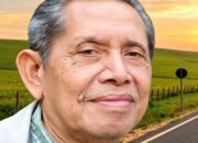 Tiga ASN Tewas Ditembak di Jayawijaya, Herman Musakabe Desak Kapolri Bongkar Pelaku, Motif dan Dalang