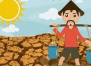 Periode Hujan Makin Pendek, Petani di SBD Diminta Cermat Memilih Tanaman dan Bijak Gunakan Air