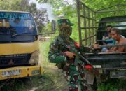 Tim Patroli TNI dan UPT KPH Wilayah SBD Ringkus Pencuri Kayu di Kawasan Hutan Mata Kapore