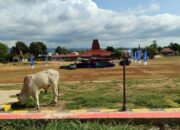 Di Tengah Minimnya Kesadaran Warga Rawat Fasilitas Publik, Pembangunan Alun-Alun Kota Tambolaka Kembali Dikebut